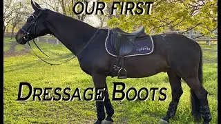 Unpacking Kavallerie. How To Bandage Horse's Legs | LanaZavada