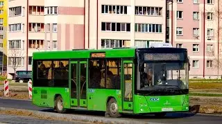 Минская Обл. (Беларусь) | Поездка на Автобусе; МАЗ-206.047; АХ 6120-5; марш. 254с. (13.08.2024 г.)