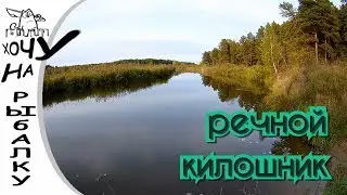 Речной килошник. Щука и окунь на воблер. Твичинг на микро речке. Hunting for pike 15.