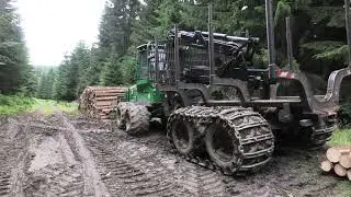 Jeseníky - Jelení loučky, Hnědý vrch 5.7.2024