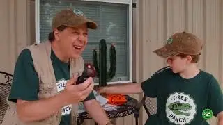 Giant Dinosaur Escape Mission!   Jurassic Tv   Dinosaurs and Toys   T Rex Family Fun