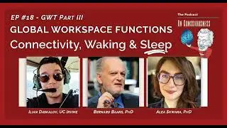 #18 — Global Workspace Functions, the Brain & Consciousness: Connectivity, Waking, & Sleep - Part 3