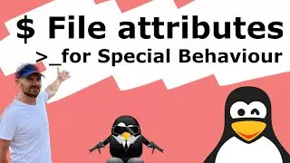 Linux. File attributes for Special Behaviour.