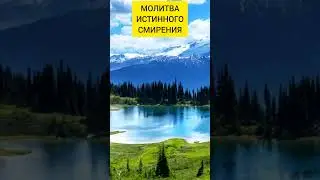 Смирение, это принятие внутри, но действие снаружи