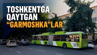 No Comment: Toshkentga qaytgan “garmoshka” avtobuslar