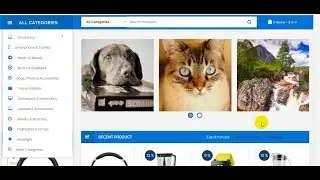Laravel 8 ecommerce 22 - ( banner, Vue slider, owl-carousel with view,  vue owl custom nav and dots)