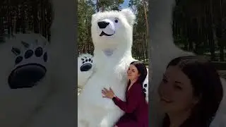 Белый мишка для фотосессии. Большой белый Умка гуляет на берегу озера #белыймишка #мишка #умка #лето
