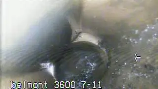 00000154
