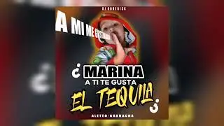 MARINA A TI TE GUSTA EL TEQUILA REMIX | A MI ME ENCANTAAA 💥 (GUARACHA 2021 ALETEO) Prod. Dj Roderick