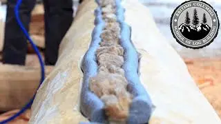 Insulating the Belly Groove in a Log House #insulatingaloghome #loghomervalue #fullscribelogbuilding