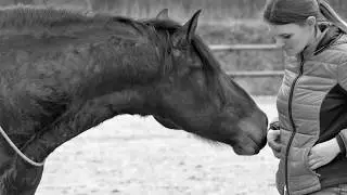 Halsringreiten u. etwas Freiarbeit, Wiebke u. PRE Borneo