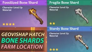 Fragile Sturdy Fossilized Bone Shard Farm Location - Geovishap Hatchling - Genshin Impact