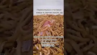 жиза #жиза #мем