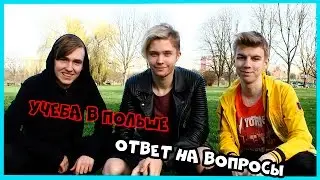 ВСЕ ОБ ОБУЧЕНИИ В ПОЛЬШЕ