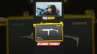 The Beginner Friendly WSP-9 Class in Warzone!