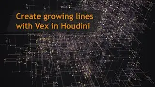 Create growing lines with Vex in Houdini