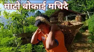 माटो ओसार्दै दाई संग (गाउँमा दरो डोको बोकाई मचिदै छ)@Dreamtouring
