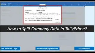 How to Split Company Data in TallyPrime?