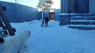 Империя с детьми
