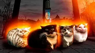 ХАЛФ ЛАЙФ, НО УОЛЛЕС БРИН ЗАВЕЛ КОТОВ