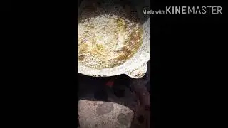 Мохи шикор да Светсанг 22 сентиябр 2020 г.