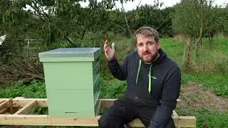 Is It Worth Making Your Own Beehive? Can You Save Money Making Your Own?