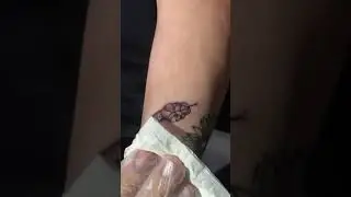Tattoo feminina de cobra estilo Fineline por @icaroet 