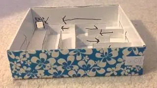 Homemade Hexbug Nano Maze