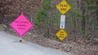 Prescribed Burning In New Jersey