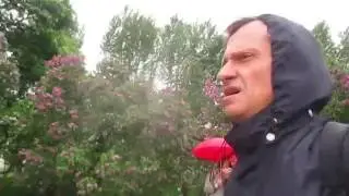 В Сиреневом саду.