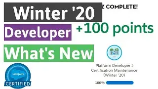 Platform Developer I Certification Maintenance (Winter '20) - What's New