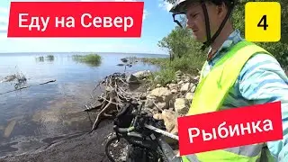 🚲🌲 Путешествие на велосипеде на Рыбинское море / День 4: Пошехонье, Череповец