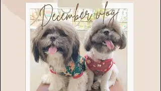Vlog # 16: December Vlog | Philippines | likechaipepper