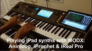 Using the MODX with the iPad (Animoog | iProphet | iRealPro)