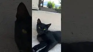 Греция🇬🇷 или Турция 🇹🇷?