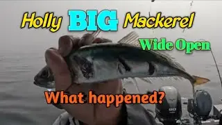 Holly Mackererels:  Wide open HUGE mackerel fishing in Moss Landing