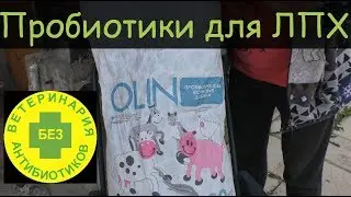 ПРОБИОТИК OLIN и СОРБОЛИН в ЖИВОТНОВОДСТВЕ.