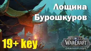 👌ТАКТИКА: Лощина Бурошкуров / ключ 19 / World of Warcraft: Dragonflight 10.1