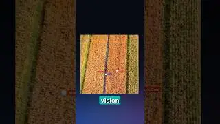 Are robots going to be taking over farms? #AI #computervision #agriculture #tech #machinelearning