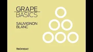 Grape Guide: Sauvignon Blanc
