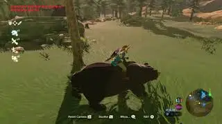 BOTW Gameplay - Bear Rodeo