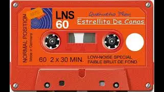COLECCION DE ORO - ALVERGONISCHA - PEDRO CORRALES Y ESTRELLITA DE CANAS