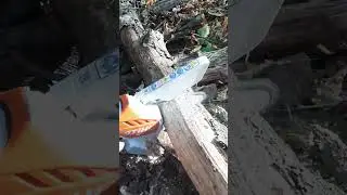 #shorts #stihl  #stihlgta26 #chainsaw