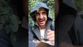 Yenilmezler Türkiye'ye Gelirse