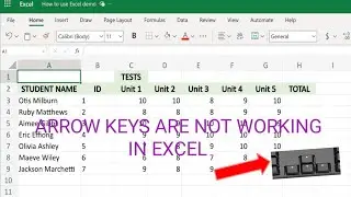 How To Fix Arrow Keys Not Working In Excel | Can't Use Arrow Keys In Excel