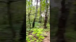 28 июня 2023 г.