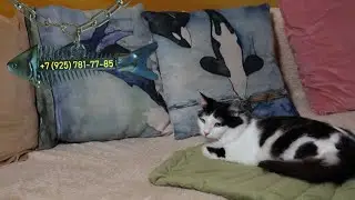 Людовик