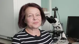 Мёд с кедровыми орешками и боярышниковый - что показала экспертиза?