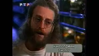 Фрагмент программы 