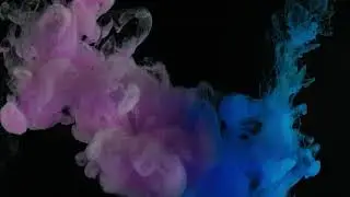 홈페이지 배경 영상